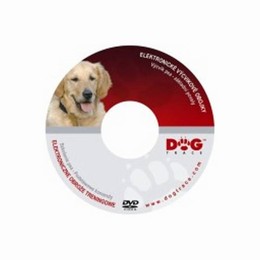 DVD Vcvik ps